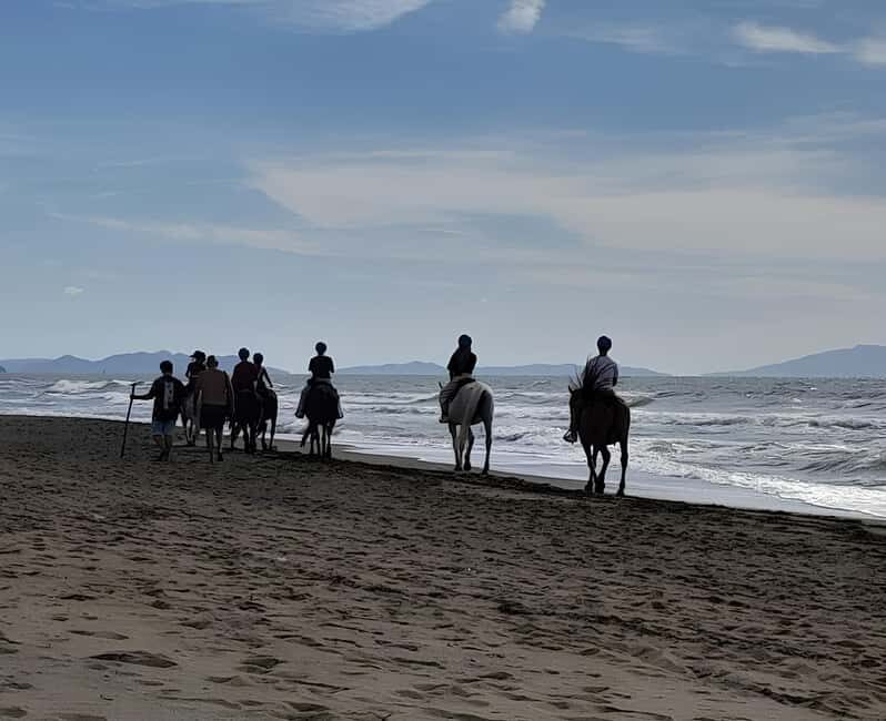 Castagneto Carducci: Horseback Riding Experience in Tuscany - What to Expect from the Experience