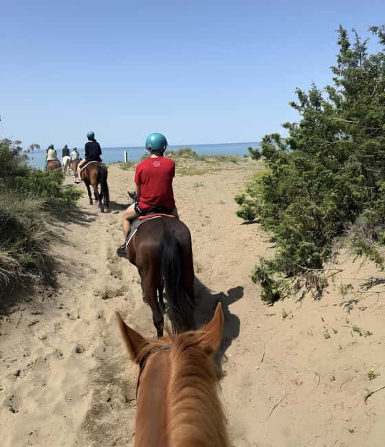 Castagneto Carducci: Horseback Riding Experience in Tuscany - The Experience Provider and Booking