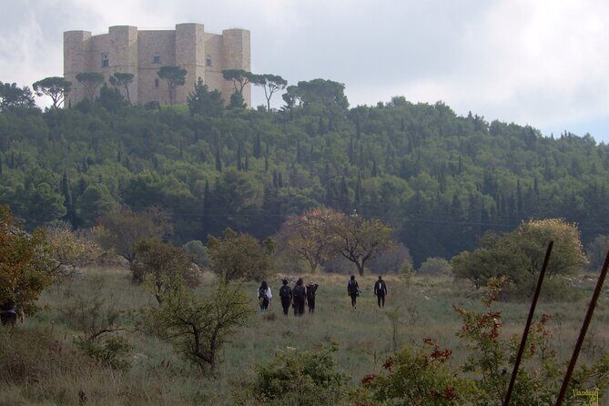 Castel del Monte: excursion in the Alta Murgia National Park - Exploring the Alta Murgia Landscape