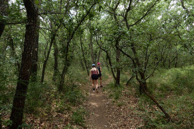 Castel del Monte: excursion in the Alta Murgia National Park - Final Thoughts
