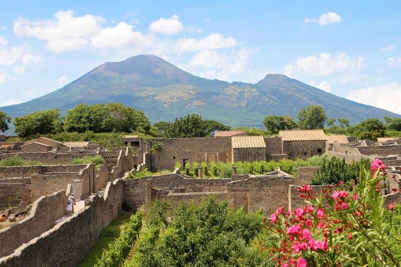 Castellammare di Stabia: Mount Vesuvius and Pompeii Tour - Key Points