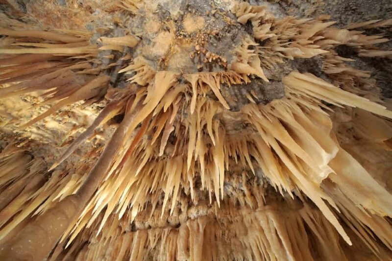 Castellana Grottoes: Official Guided Tour with Entry Ticket - What to Expect from the Castellana Grottoes Guided Tour