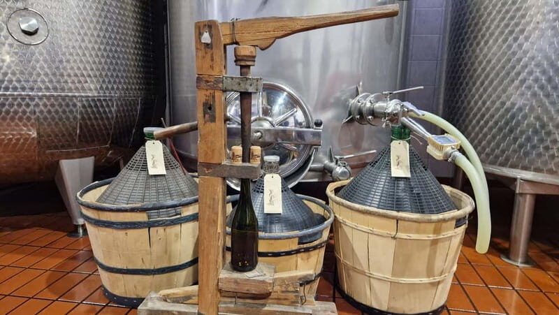 Castell'Arquato: Winery tour and tasting Colli Piacentini wines - Key Points