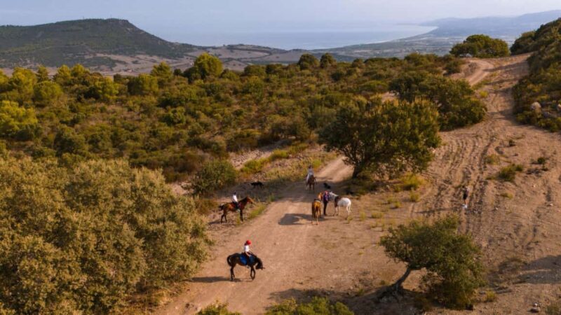 Castelsardo: horseback in Sedini - What to Expect from the Horseback Ride in Sedini
