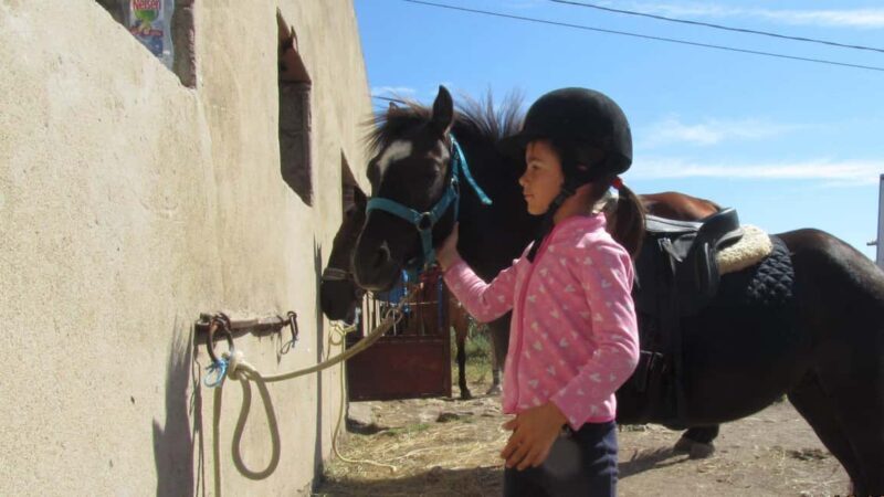 Castelsardo: horseback in Sedini - Authentic Feedback from Travelers