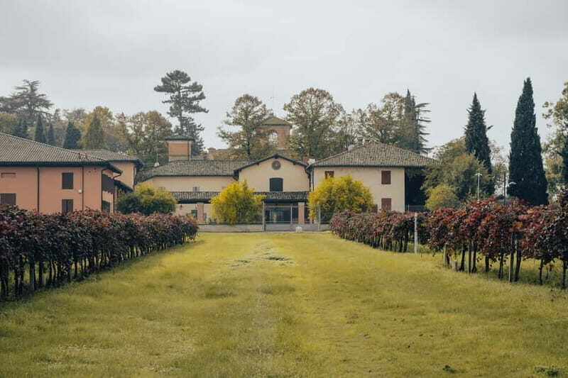 Castelvetro: winery tour and Lambrusco tasting - Key Points