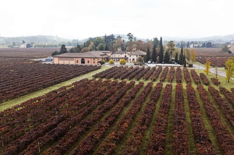 Castelvetro: winery tour and Lambrusco tasting - A detailed look at the experience