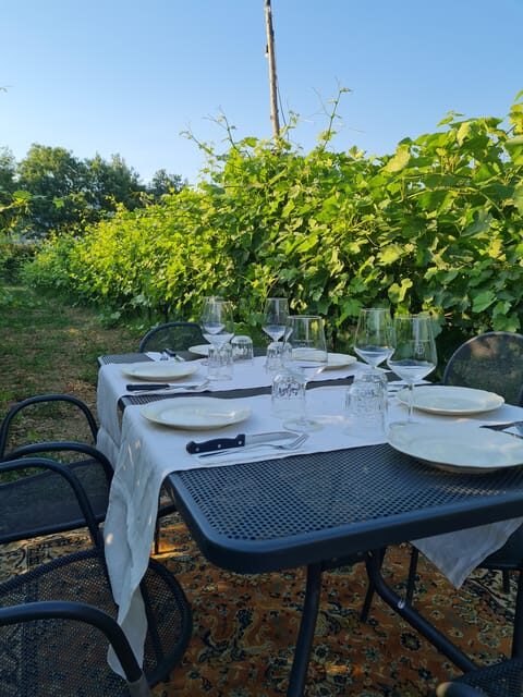 Castiglion Fiorentino: wine tasting with guided tour - What You Can Expect from the Tour