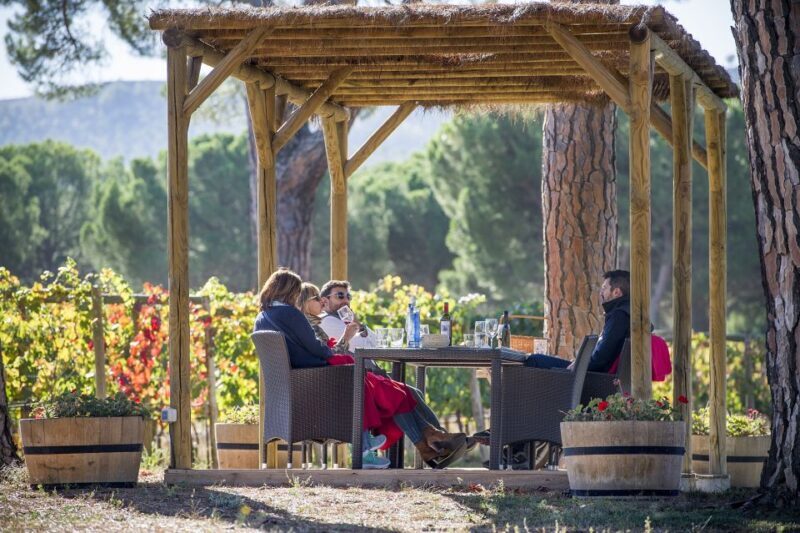 Castille and León: Vineyard Tour with Wine Tasting - Exploring Castile and León: Vineyard Tour with Wine Tasting