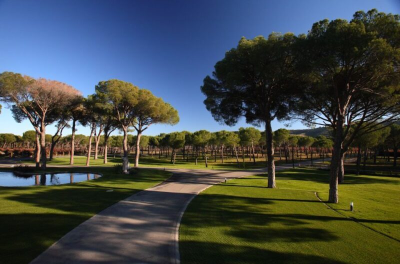 Castille and León: Vineyard Tour with Wine Tasting - Honest Review and Final Thoughts