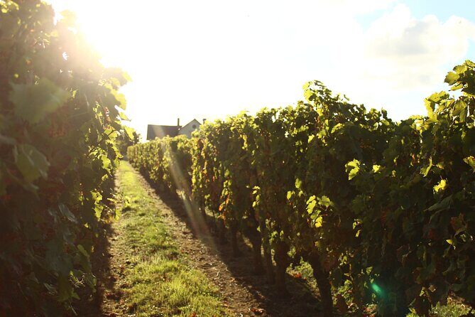 Castle Epicurean Experience with Wine & Local Specialties - Frequently Asked Questions