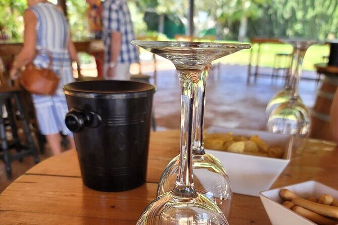 Castle Tour in Province of Alicante and Wine Tasting - Key Points