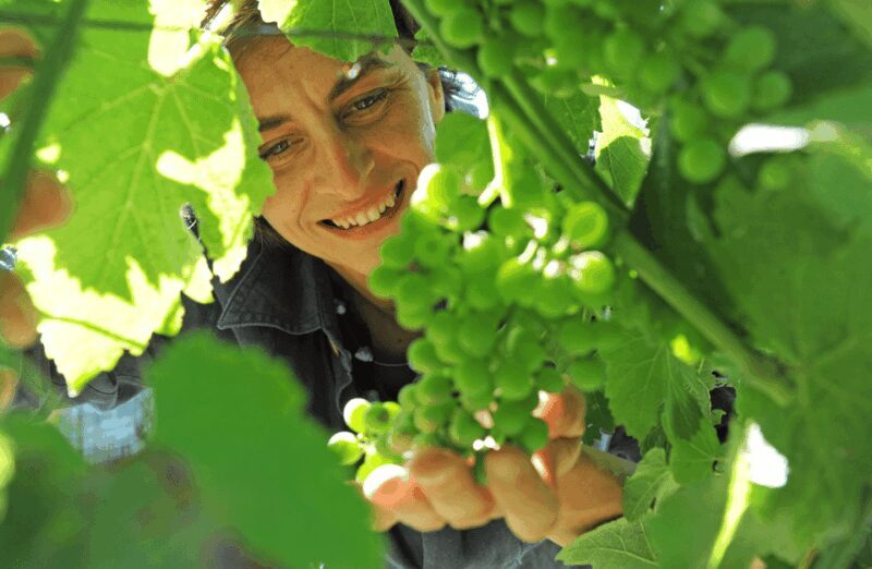 Castle Winery Tour & Tasting near Lake Maggiore - Exploring the Castle Winery Tour & Tasting near Lake Maggiore