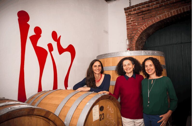 Castle Winery Tour & Tasting near Lake Maggiore - A Closer Look at the Castle Winery Tour & Tasting Experience