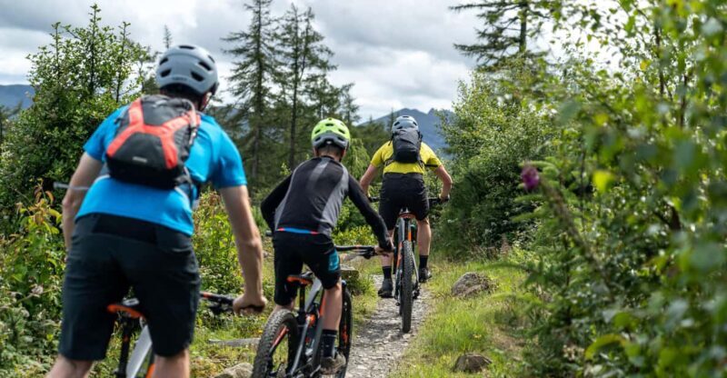 Castlewellan:Electric Mountain Biking Experience - Practical Tips for Your Ride