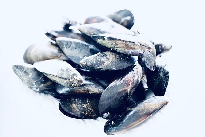 Catalan Paella Cooking Class with Small Group in Barcelona - Final Thoughts: Who Is This Tour Best For?