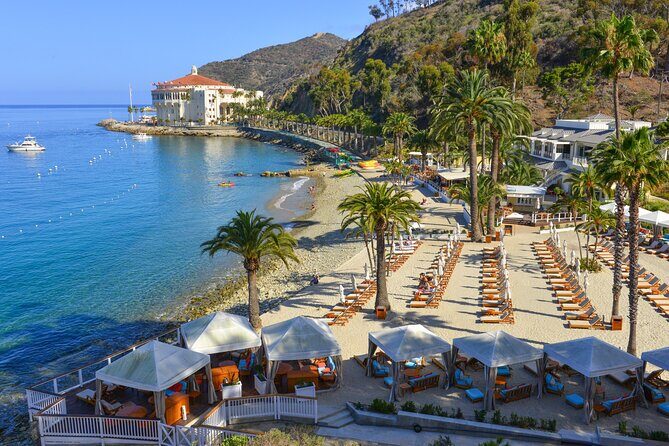 Catalina Express: Avalon to San Pedro One-Way Ferry - Who Would Love This?