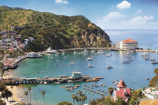 Catalina Express: San Pedro to Avalon One-Way Ferry - Pricing and Value