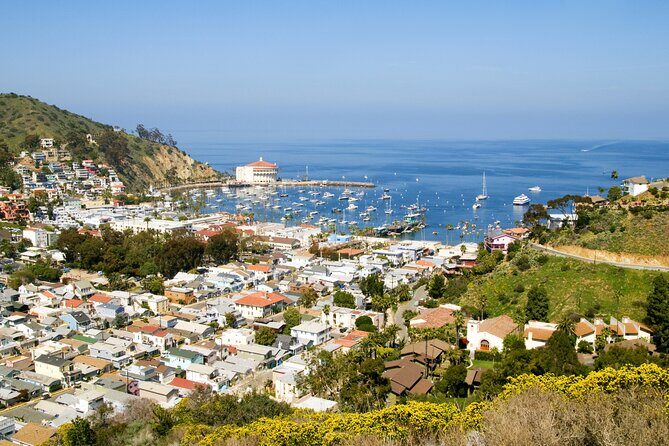 Catalina Island Avalon Highlights Walking Tour - Key Points
