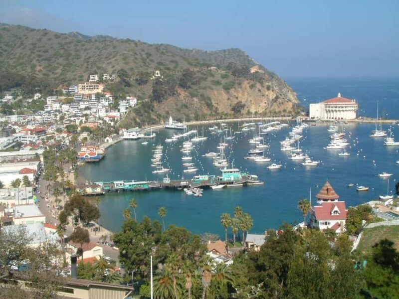 Catalina Island City & Scenic Mt. Ada Tour - Key Points
