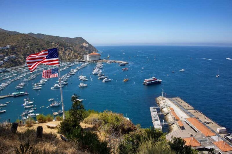 Catalina Island City & Scenic Mt. Ada Tour - How It Compares to Other Tour Options