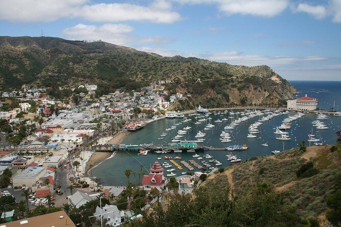 Catalina Island Day Trip from Anaheim Hotels with Discover Avalon Tour - Price and Value