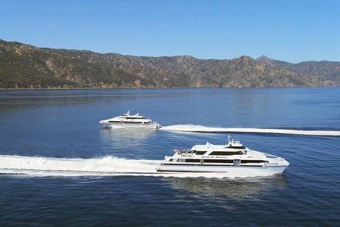 Catalina Island Day Trip from Anaheim Hotels with Discover Avalon Tour - FAQ