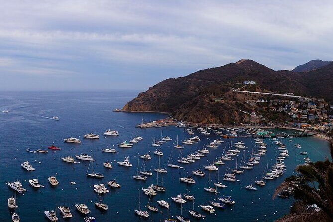 Catalina Island Ferry Avalon to Newport Beach - Key Points