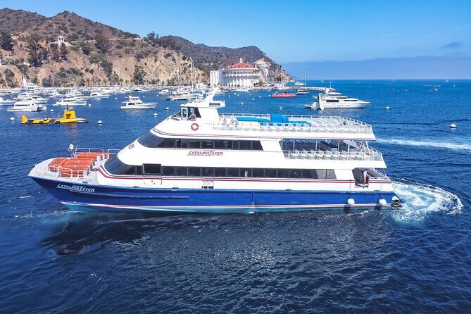 Catalina Island Ferry Avalon to Newport Beach - What Travelers Say: Authentic Insights from Reviews