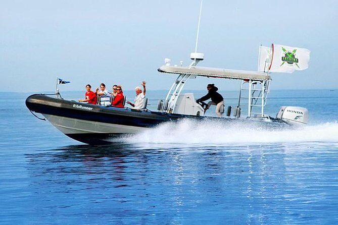 Catalina Island Trip with Hotel transfers & Optional tours - What You Can Expect from This Catalina Island Trip