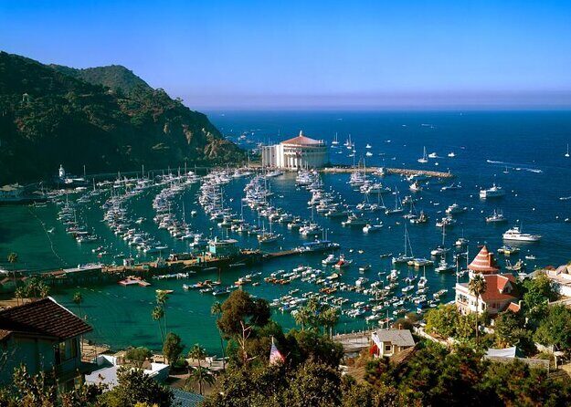 Catalina Island w/Discover Avalon Scenic Tour & Hotel transfers - Key Points