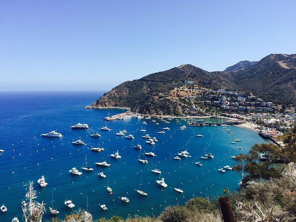 Catalina Island w/Discover Avalon Scenic Tour & Hotel transfers - What the Tour Looks Like in Practice