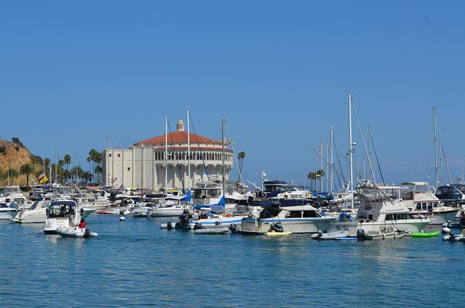 Catalina Island w/Discover Avalon Scenic Tour & Hotel transfers - What Real Travelers Are Saying