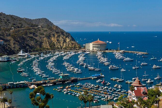 Catalina Island w/Discover Avalon Scenic Tour & Hotel transfers - Final thoughts: Who is this tour perfect for?