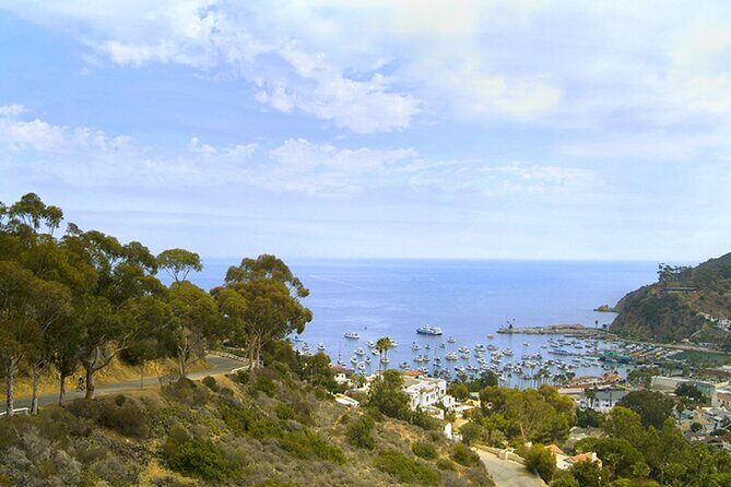 Catalina Island w/Discover Avalon Scenic Tour & Hotel transfers - FAQ