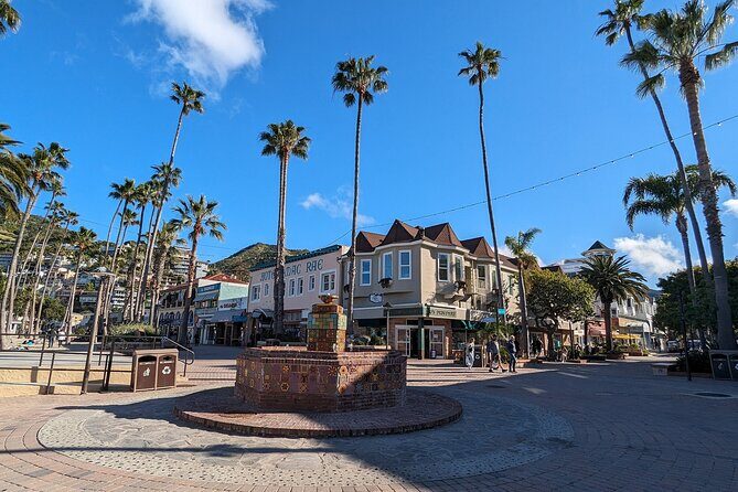 Catalina Scavenger Hunt Walking Tour and Game - Key Points