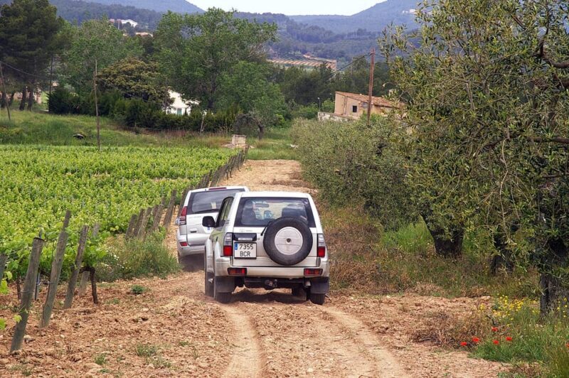 Catalonia: Unique, bespoke wine cellar visits - The Wineries & Tasting Experience