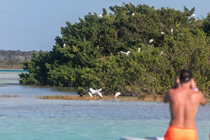 Catamaran Adventure: Sailing and Swimming in the Bacalar Lagoon - The Bottom Line