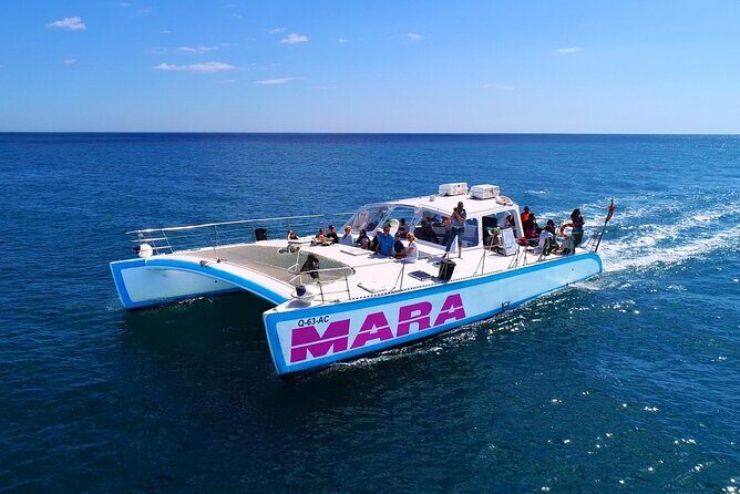 Catamaran BBQ on the Beach: Cruise to Benagil Caves - Who Will Love This Tour