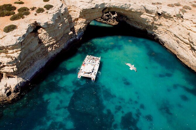 Catamaran Cruise: Caves and Coastline to Benagil - The Experience at a Glance