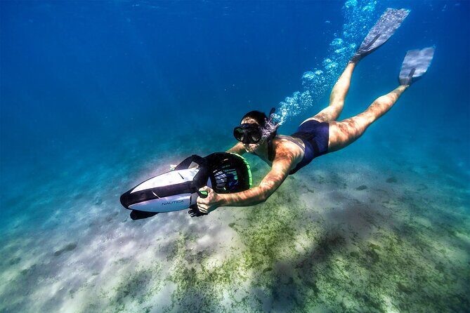 Catamaran cruise in the Frioul Archipelago in Marseille - Wrapping It Up: Who’s This Tour Best For?