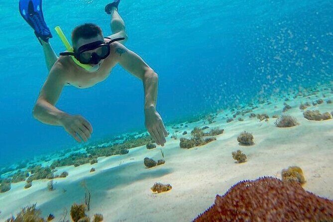 Catamaran Cruise to Cozumel Reefs + Water Park Fun - The Sum Up