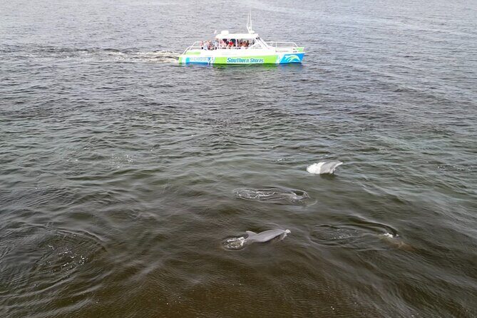 Catamaran Dolphin Cruise in Myrtle Beach with Barrier Island Stop - Final Thoughts: Is It Worth It?