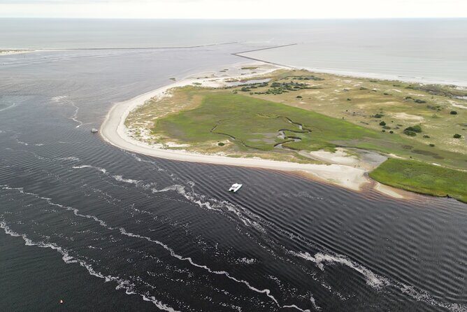 Catamaran Dolphin Cruise in Myrtle Beach with Barrier Island Stop - Frequently Asked Questions