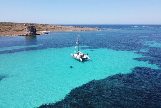 Catamaran excursions in the Asinara island National park - The Highlights in Detail