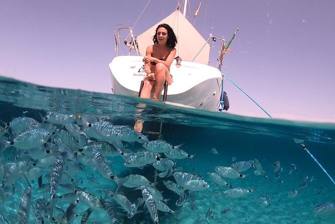 Catamaran excursions in the Asinara island National park - Practical Details & Tips