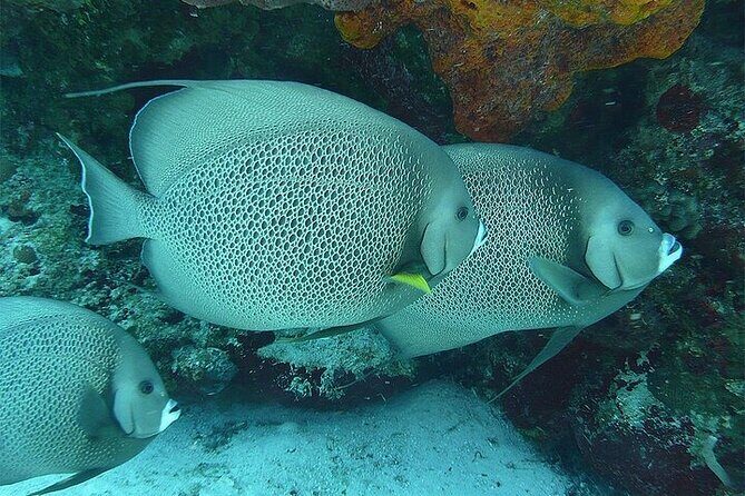 Catamaran Isla Mujeres Drinks and Lunch Party - Final Thoughts