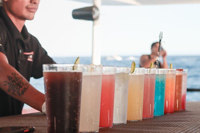 Catamaran - Luxury Private Tour - Who Should Consider This Tour?