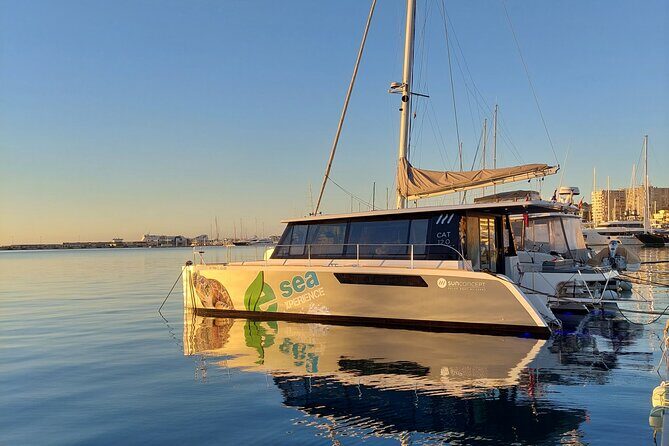 Catamaran Mallorca Eco Experience - Introduction