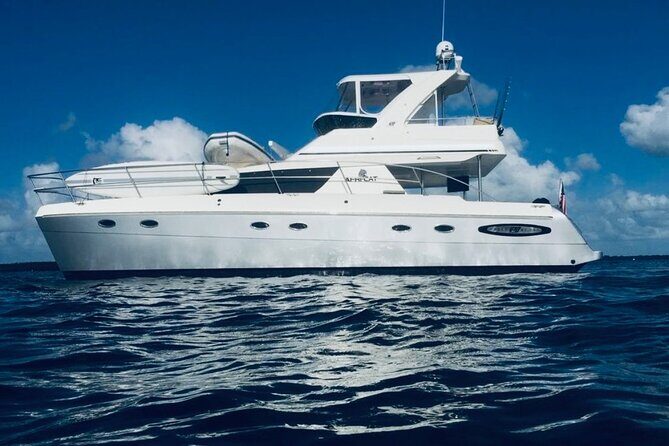 Catamaran Party Rentals for Up to 13 Guests - Final Thoughts: Is This Tour Right for You?